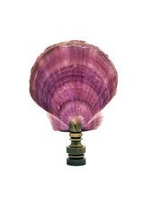 Load image into Gallery viewer, CALICO SEA SCALLOP Shell Lamp Finial with Polished Brass or Antique Brass Base (1-PC.)