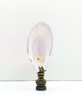 Load image into Gallery viewer, CALICO SEA SCALLOP Shell Lamp Finial with Polished Brass or Antique Brass Base (1-PC.)