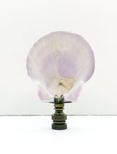 Load image into Gallery viewer, CALICO SEA SCALLOP Shell Lamp Finial with Polished Brass or Antique Brass Base (1-PC.)