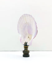 Load image into Gallery viewer, CALICO SEA SCALLOP Shell Lamp Finial with Polished Brass or Antique Brass Base (1-PC.)