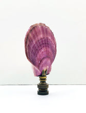 Load image into Gallery viewer, CALICO SEA SCALLOP Shell Lamp Finial with Polished Brass or Antique Brass Base (1-PC.)