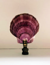 Load image into Gallery viewer, CALICO SEA SCALLOP Shell Lamp Finial with Polished Brass or Antique Brass Base (1-PC.)