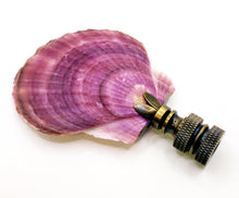 Load image into Gallery viewer, CALICO SEA SCALLOP Shell Lamp Finial with Polished Brass or Antique Brass Base (1-PC.)