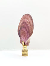 Load image into Gallery viewer, CALICO SEA SCALLOP Shell Lamp Finial with Polished Brass or Antique Brass Base (1-PC.)