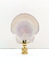 Load image into Gallery viewer, CALICO SEA SCALLOP Shell Lamp Finial with Polished Brass or Antique Brass Base (1-PC.)