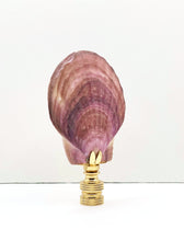 Load image into Gallery viewer, CALICO SEA SCALLOP Shell Lamp Finial with Polished Brass or Antique Brass Base (1-PC.)