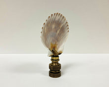 Load image into Gallery viewer, SEA SCALLOP Shell Lamp Finial with Polished Brass or Antique Brass Base (1-PC.)