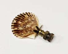 Load image into Gallery viewer, SEA SCALLOP Shell Lamp Finial with Polished Brass or Antique Brass Base (1-PC.)