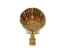 Load image into Gallery viewer, SEA SCALLOP Shell Lamp Finial with Polished Brass or Antique Brass Base (1-PC.)