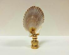 Load image into Gallery viewer, SEA SCALLOP Shell Lamp Finial with Polished Brass or Antique Brass Base (1-PC.)