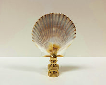 Load image into Gallery viewer, SEA SCALLOP Shell Lamp Finial with Polished Brass or Antique Brass Base (1-PC.)