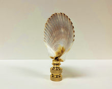 Load image into Gallery viewer, SEA SCALLOP Shell Lamp Finial with Polished Brass or Antique Brass Base (1-PC.)