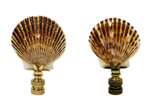 Load image into Gallery viewer, SEA SCALLOP Shell Lamp Finial with Polished Brass or Antique Brass Base (1-PC.)