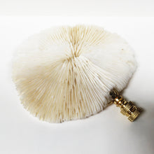 Load image into Gallery viewer, Large MUSHROOM CORAL Lamp Finial with Polished Brass Base