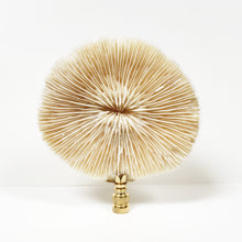 Load image into Gallery viewer, Large MUSHROOM CORAL Lamp Finial with Polished Brass Base