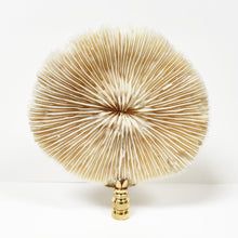 Load image into Gallery viewer, Large MUSHROOM CORAL Lamp Finial with Polished Brass Base
