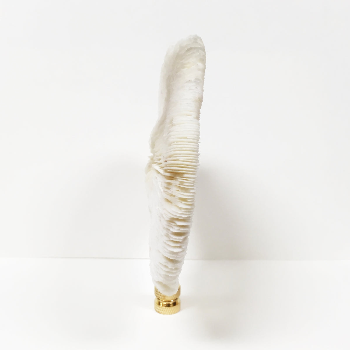 Large MUSHROOM CORAL Lamp Finial with Polished Brass Base Lamp Finial