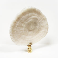 Load image into Gallery viewer, Large MUSHROOM CORAL Lamp Finial with Polished Brass Base