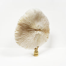 Load image into Gallery viewer, Large MUSHROOM CORAL Lamp Finial with Polished Brass Base