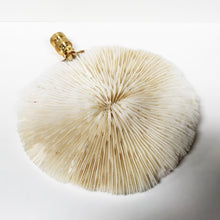 Load image into Gallery viewer, Large MUSHROOM CORAL Lamp Finial with Polished Brass Base