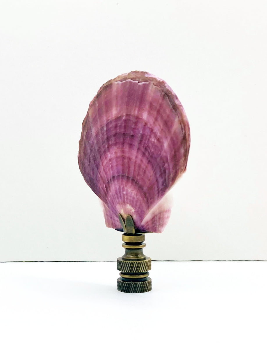 CALICO SEA SCALLOP Shell Lamp Finial with Polished Brass or Antique Br ...