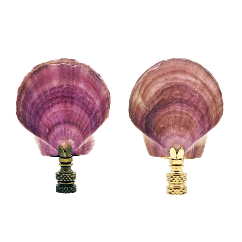 Shells Finials CALICO SEA SCALLOP Shell Lamp Finial with Polished Brass or Antique Br ...