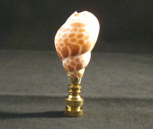 BABYLON JAPONICA Shell Lamp Finial with PB or AB Base (1-PC.)