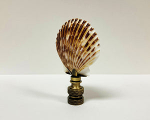 SEA SCALLOP Shell Lamp Finial with Polished Brass or Antique Brass Base (1-PC.)