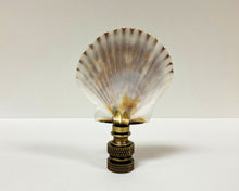 Load image into Gallery viewer, SEA SCALLOP Shell Lamp Finial with Polished Brass or Antique Brass Base (1-PC.)