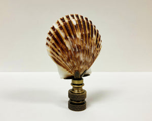 SEA SCALLOP Shell Lamp Finial with Polished Brass or Antique Brass Base (1-PC.)