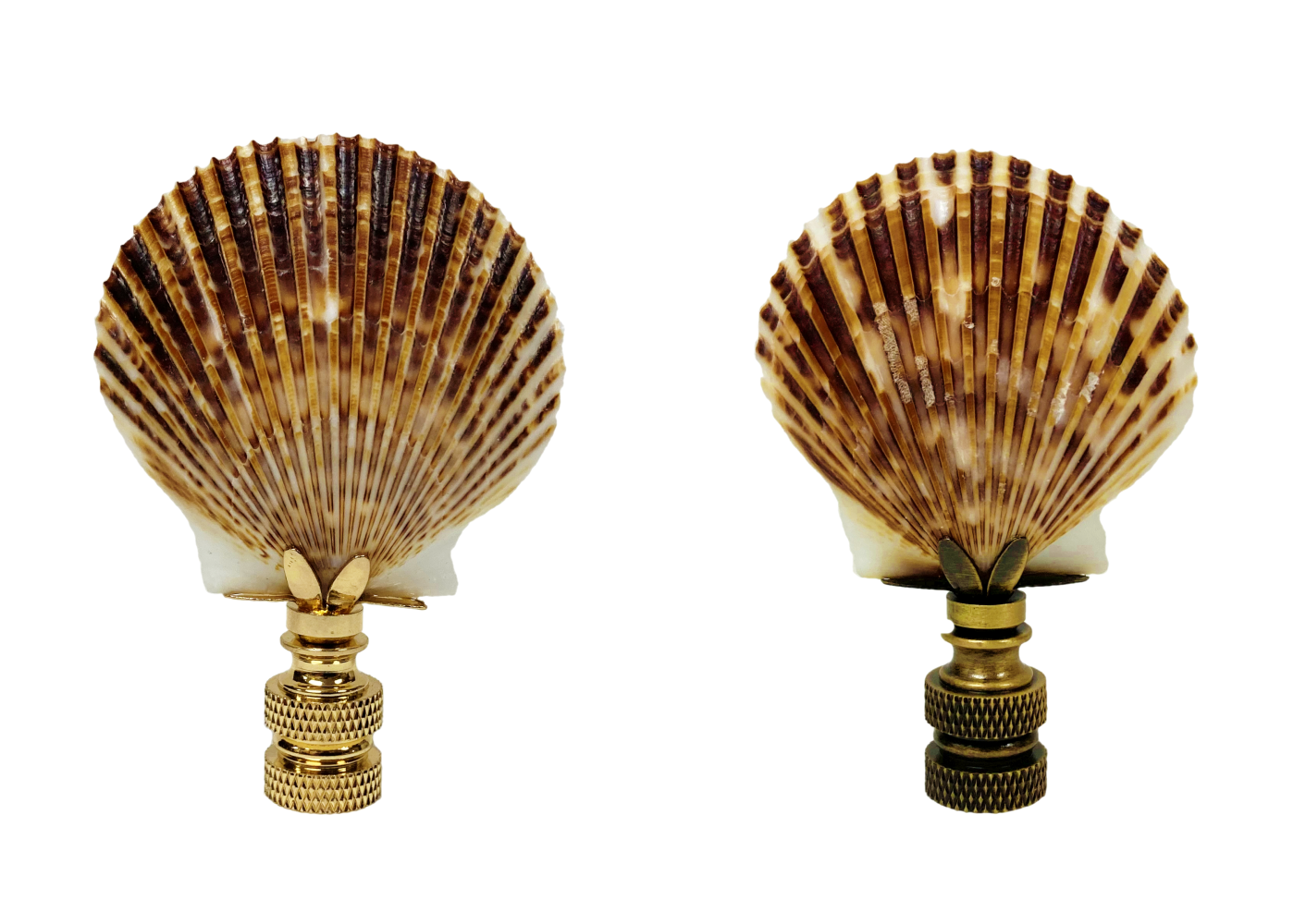 Shells Finials Shell Lamp Finials – Lamp Finial Designs