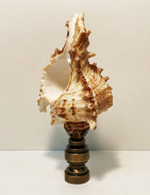 Load image into Gallery viewer, SEA SNAIL Shell Lamp Finial with Polished Brass or Antique Brass Base (1-PC.)