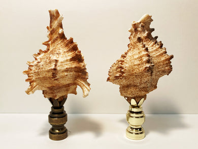 Shells Finials Large selection of unique lamp finials from traditional to modern ...