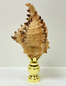 SEA SNAIL Shell Lamp Finial with Polished Brass or Antique Brass Base (1-PC.)