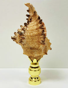 SEA SNAIL Shell Lamp Finial with Polished Brass or Antique Brass Base (1-PC.)
