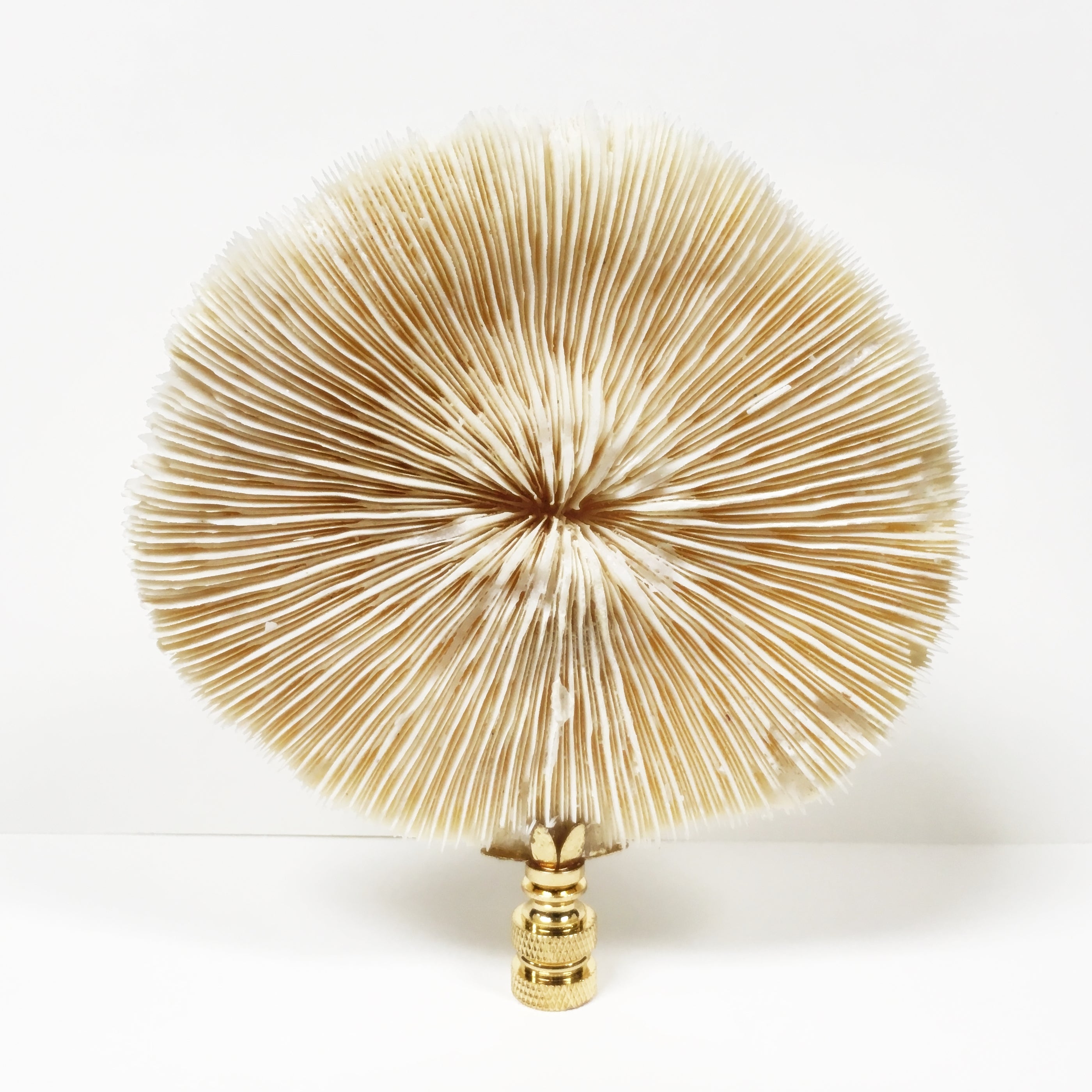 Large MUSHROOM CORAL Lamp Finial with Polished Brass Base Lamp Finial