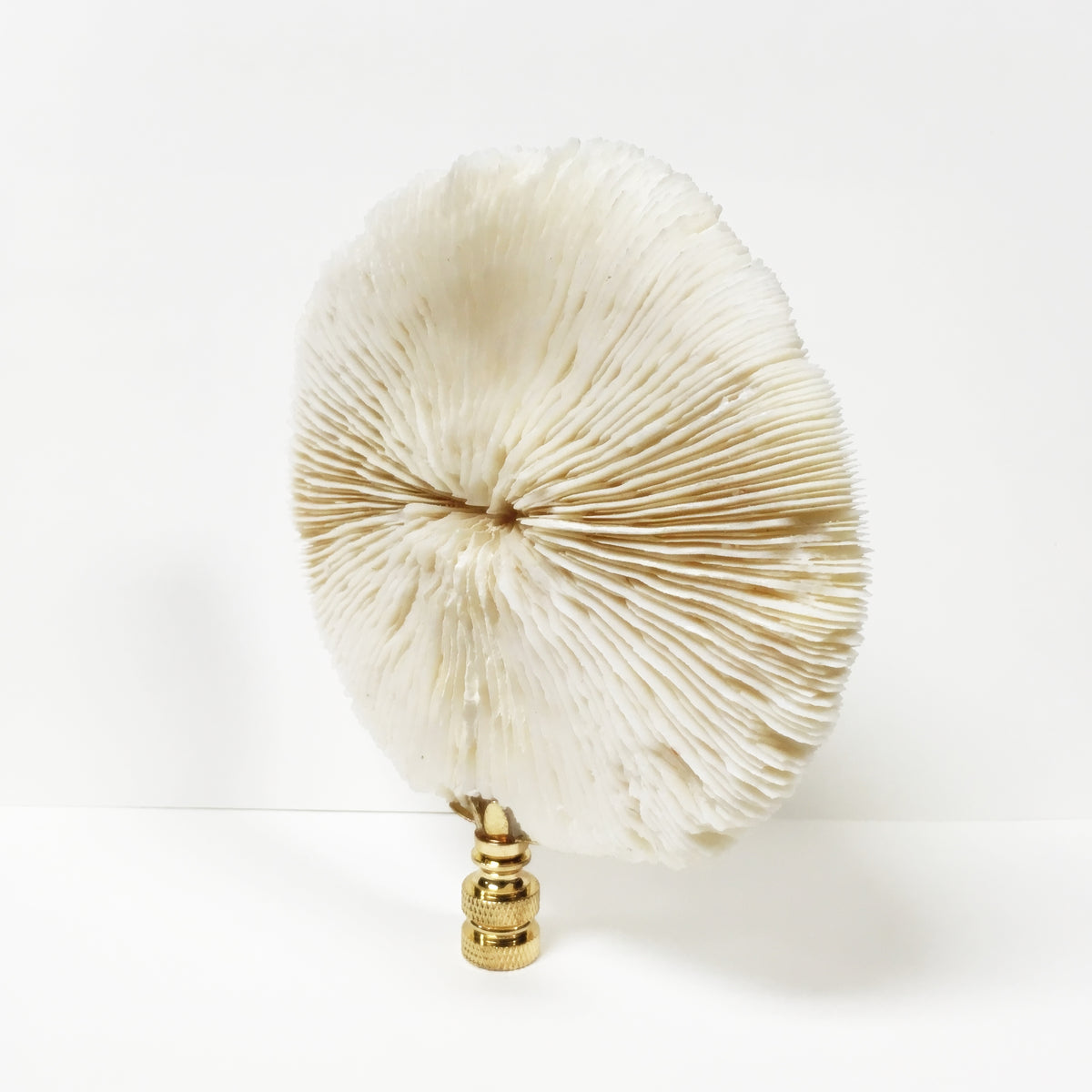 Large MUSHROOM CORAL Lamp Finial with Polished Brass Base Lamp Finial